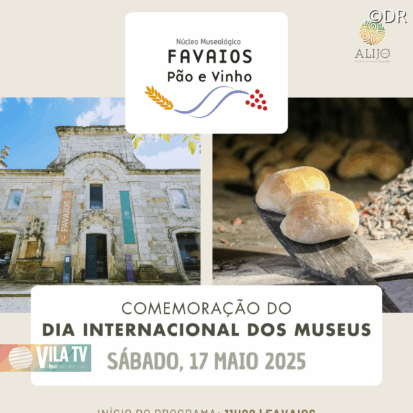 Dia dos Museus promove padaria tradicional em Alijó este sábado