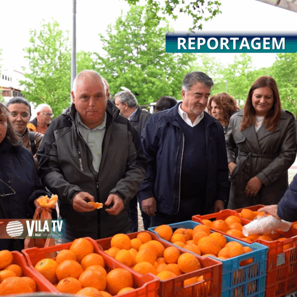 📽️REPORTAGEM | XVI Feira da Laranja dá a conhecer produto ex-libris de São Mamede de Ribatua
