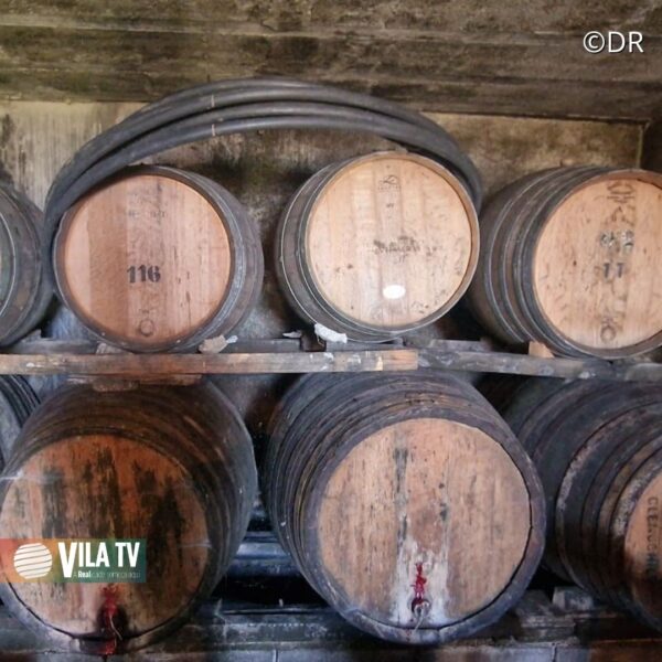 GNR apreende 7 mil litros de vinho licoroso em Santa Marta de Penaguião; valor comercial é de 42 mil €