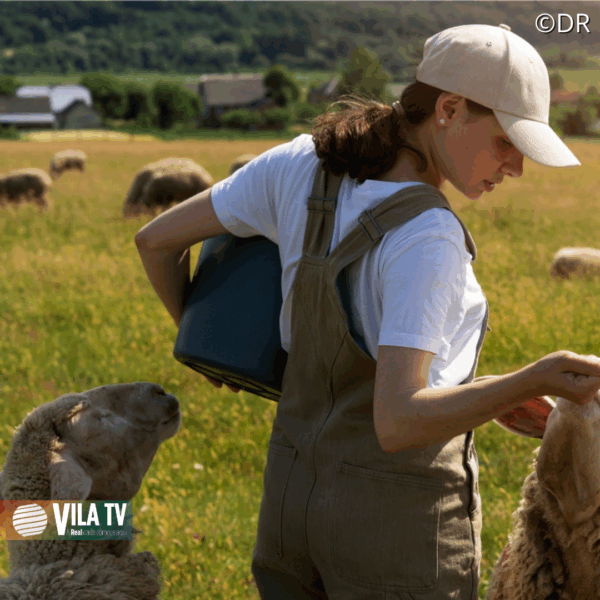 Aberta discussão pública sobre apoio financeiro aos produtores em Chaves