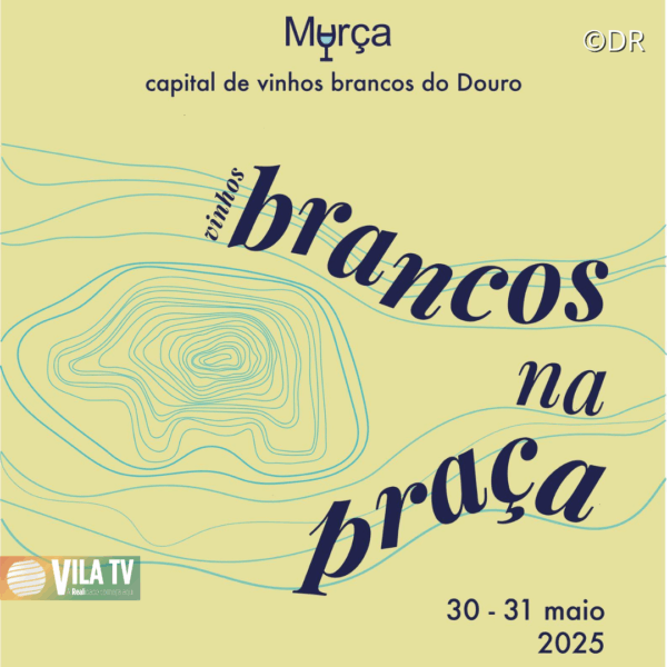 Vinhos Brancos na Praça volta a Murça na próxima sexta e sábado