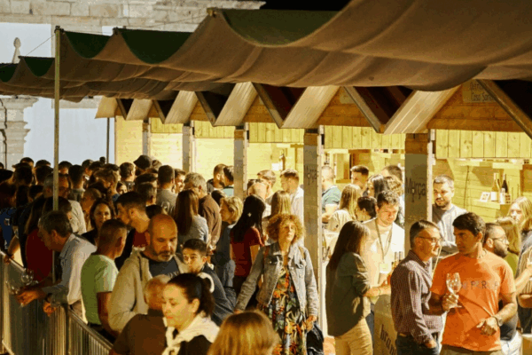 Murça celebra vinhos na III edição dos “Brancos na Praça” esta sexta-feira e sábado