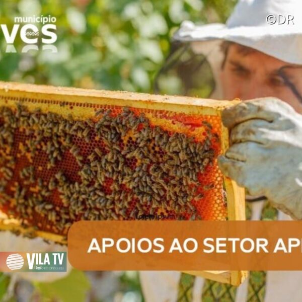 Candidaturas para apoios à apicultura decorrem até dia 30 de junho em Chaves