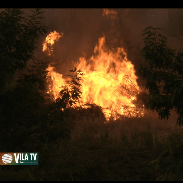 Detido em flagrante homem por atear fogo em área florestal no município de Chaves