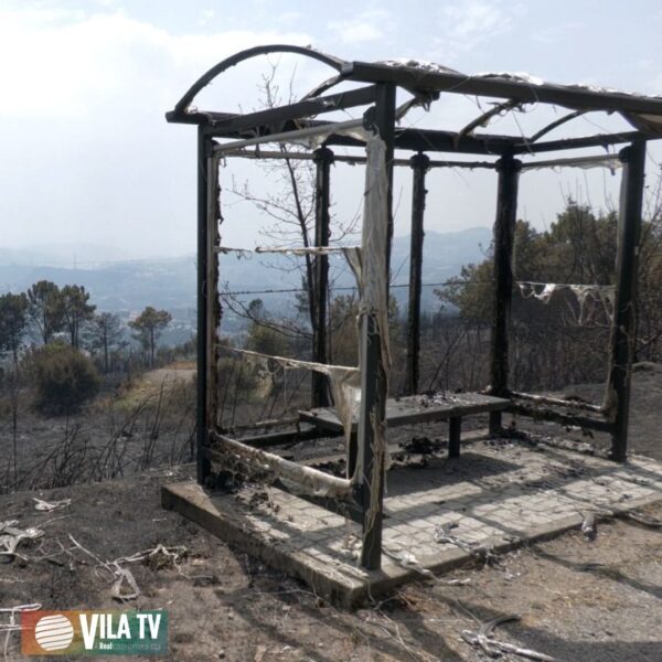 📽️Repórter Vila TV | Aldeias de Vila Real sofrem com incêndios; Serra do Alvão está destruída