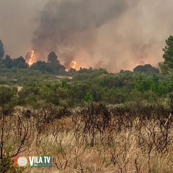 Incêndio volta a atingir o Parque Empresarial de Chaves