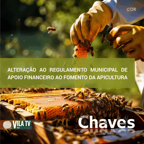 Aberta discussão pública para Alteração do Regulamento Municipal de Apoio Financeiro à Apicultura