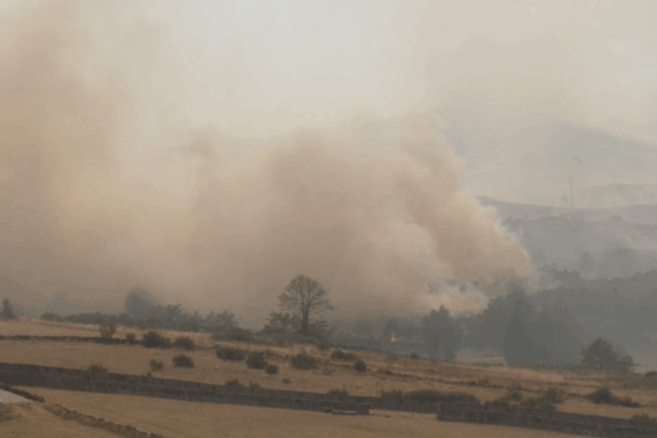 📽️Repórter Vila TV | Incêndios consumiram a Serra do Alvão ao longo de 12 dias em Vila Real