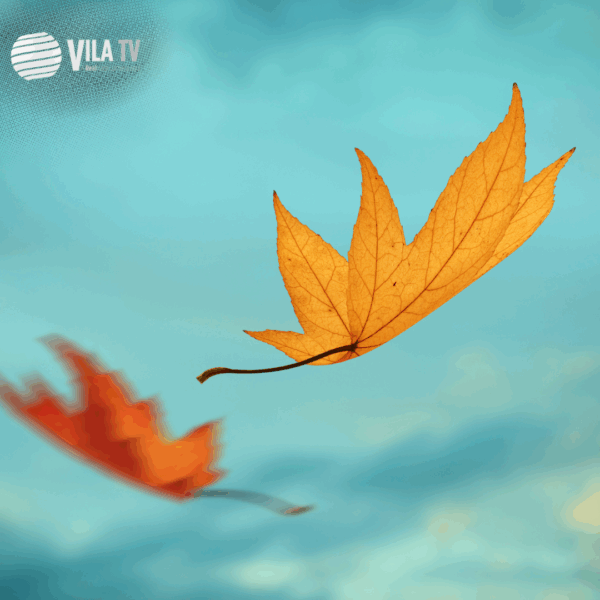 Vila Real inicia outono com temperaturas amenas e previsão de clima seco