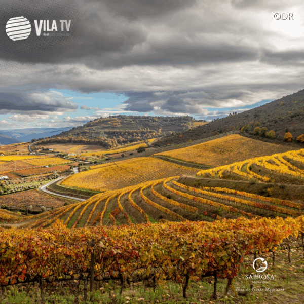 Abertas candidaturas a apoios para pequenos investimentos na exploração agrícola
