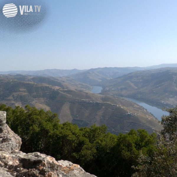 🏞️Aventura 14 | Miradouro de São Leonardo de Galafura une beleza, história e encanta visitantes