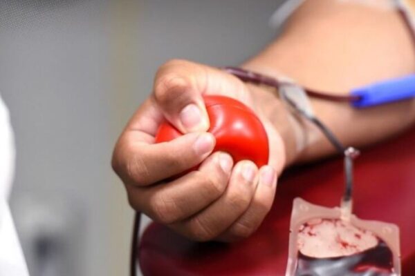 Repórter Vila TV | Regia-Douro Park promove sessão de recolha de sangue dia 3 de novembro