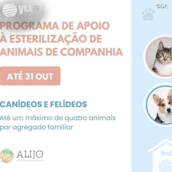 Alijó prossegue com apoio à esterilização de animais de companhia até dia 31 de outubro
