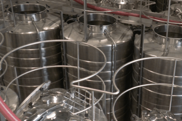 🍇ADN Empreendedor| CEV Douro produziu 100 mil litros de vinho proveniente da colheita deste ano