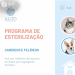 Município de Alijó abre candidaturas de apoio à esterilização de animais de companhia