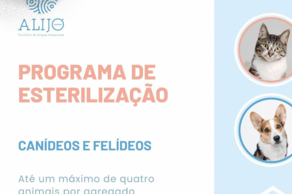 Município de Alijó abre candidaturas de apoio à esterilização de animais de companhia