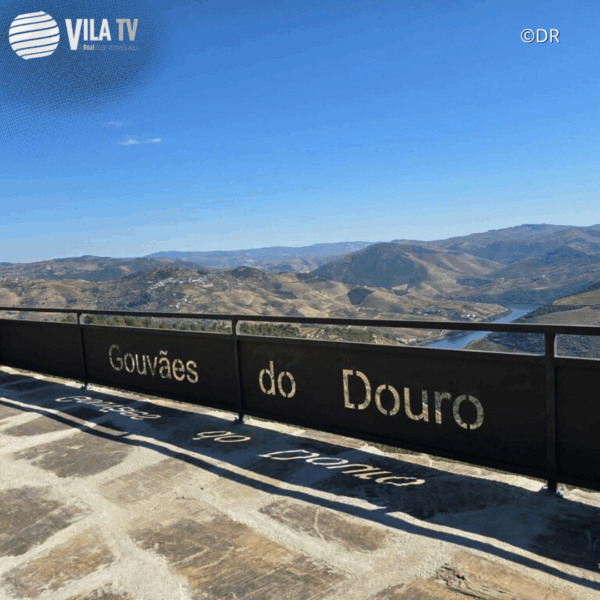 Gouvães do Douro ganha novo miradouro com vista privilegiada sobre o Douro