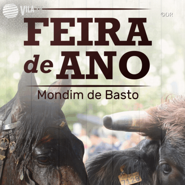Feira de Ano realiza-se este domingo em Mondim de Basto com tradição, produtos locais e animação