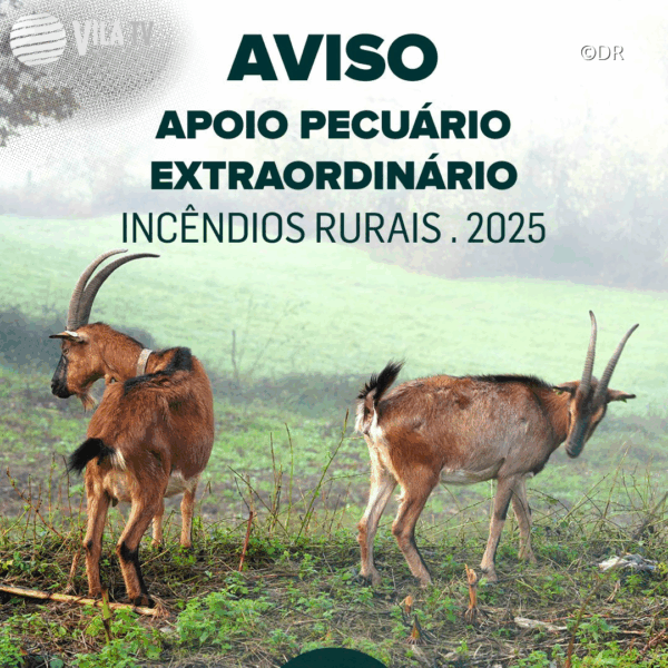 Último dia para produtores de Mondim de Basto se candidatarem a apoio extraordinário devido a incêndios rurais