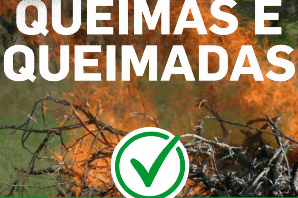 Termina o período de restrição às queimas e queimadas no distrito de Vila Real