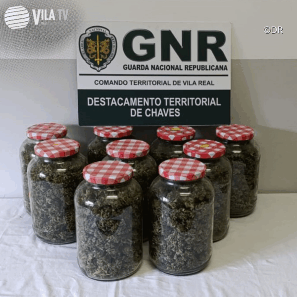 Homem detido em Valpaços por tráfico de estupefacientes