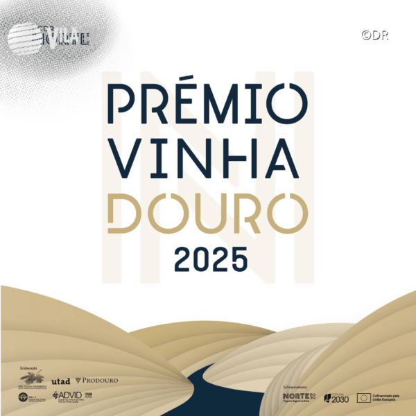 Faltam 15 dias para encerrar candidaturas à 2.ª edição do Prémio Vinha Douro 2025