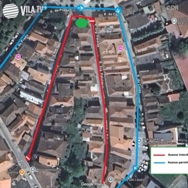 Trânsito em Vila Real é interrompido para poda de árvores nesta segunda-feira