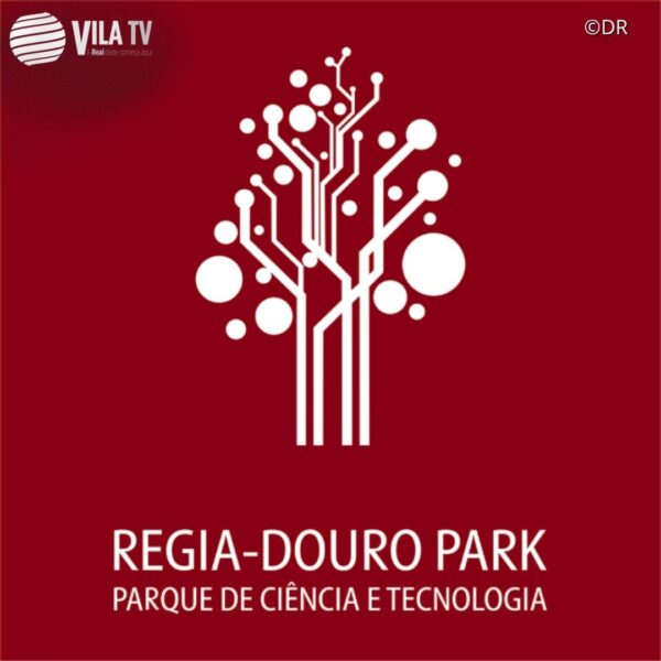 Regia Douro promove nesta quarta Feira de Outono/Magusto a partir das 16h30