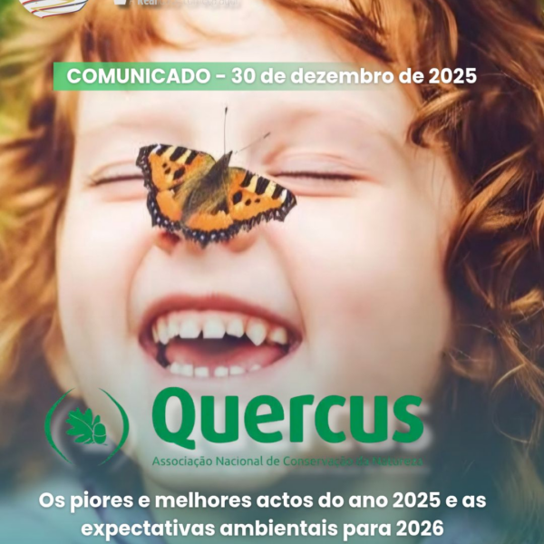 Quercus Destaca Piores e Melhores Factos Ambientais de 2025
