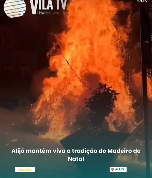 Alijó- Tradição do madeiro de natal